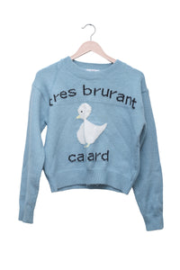 Duckling Blue Graphic Sweater